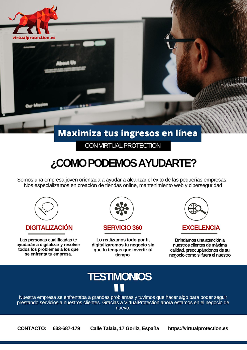 Virtual Protection DISEÑO DE PAGINAS WEB