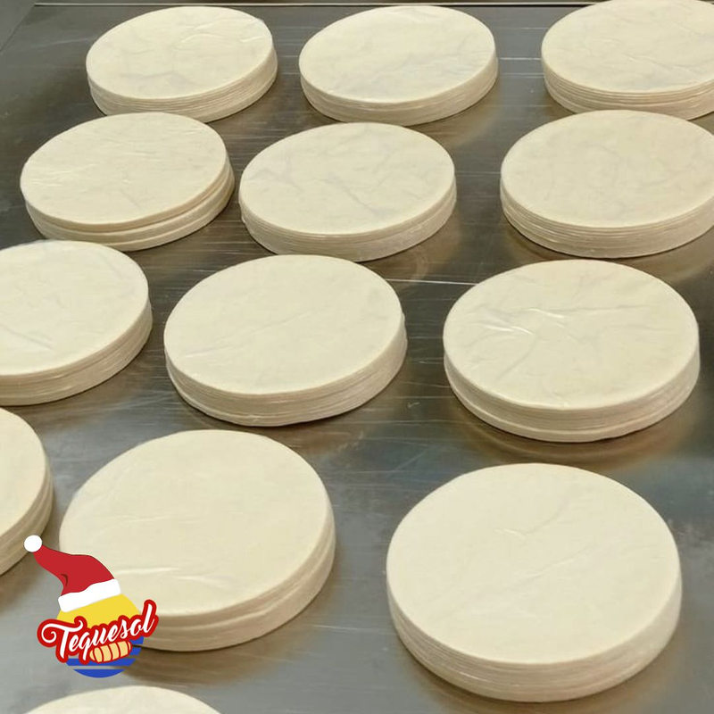 Tequesol ALIMENTOS CONGELADOS: FABRICACION