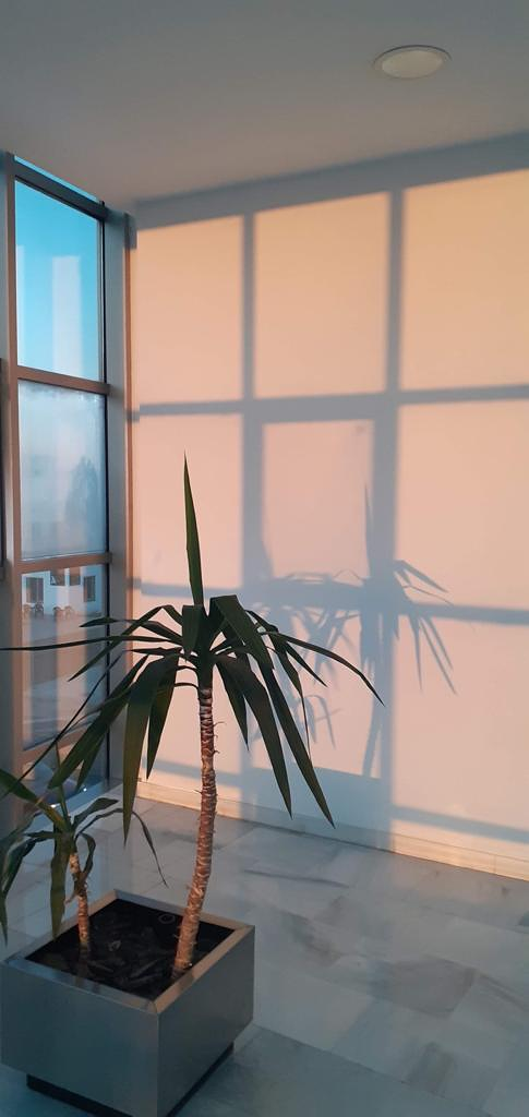 Gestoria Sur Lepe ASESORIAS FISCALES