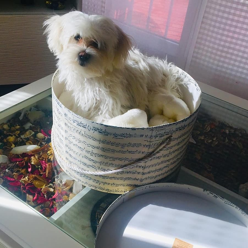 F&aacute;brica de Cajas de Cart&oacute;n 21