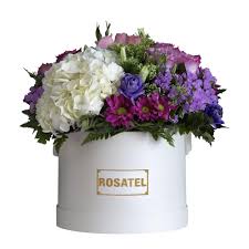 Galería de imágenes