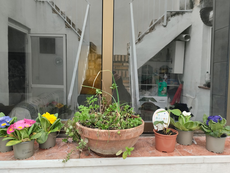 Gardel Multiservicios 3