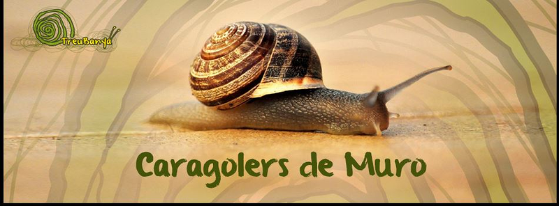Caragolers de Muro CARACOLES