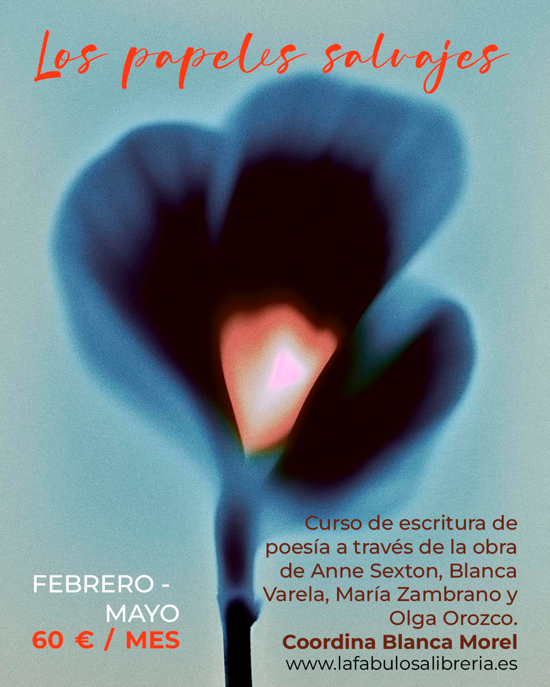 Librer&iacute;a La Fabulosa 16