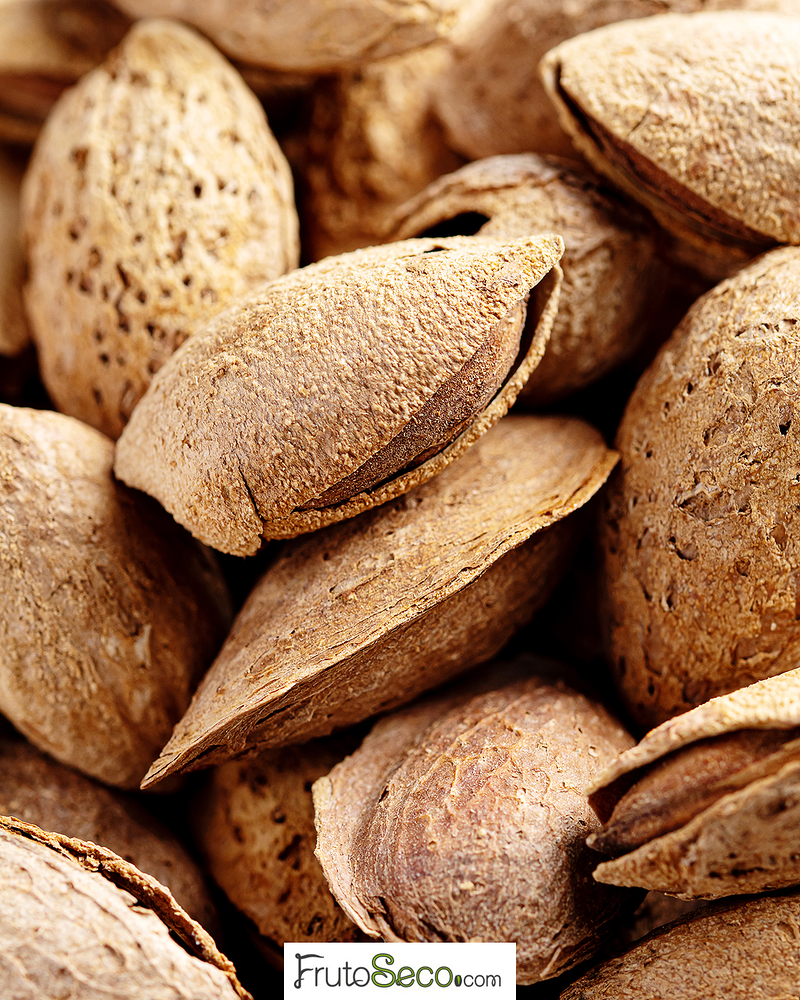 FrutoSeco.Com 9