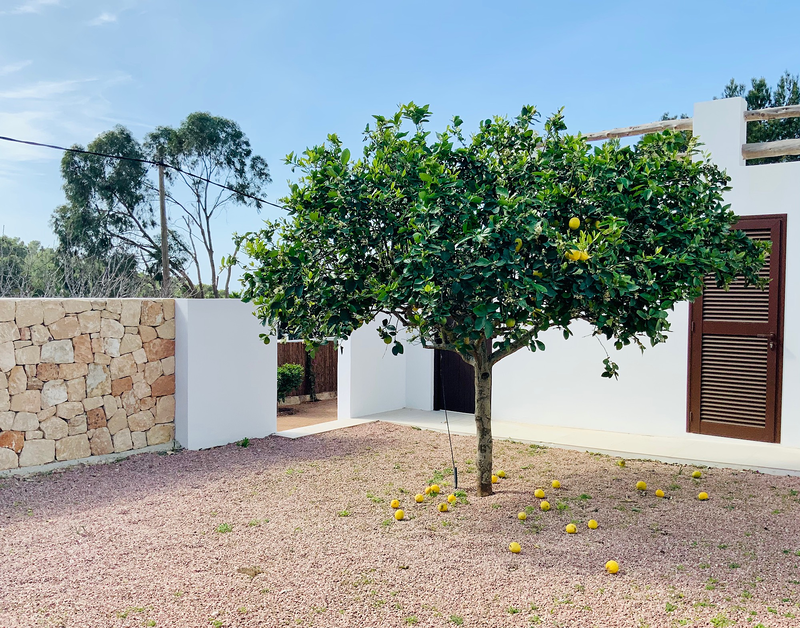 Tabula Rasa Design Studio 34