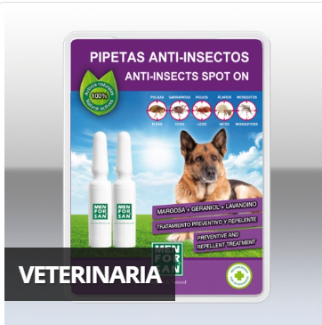 Marcentro.Com Palma