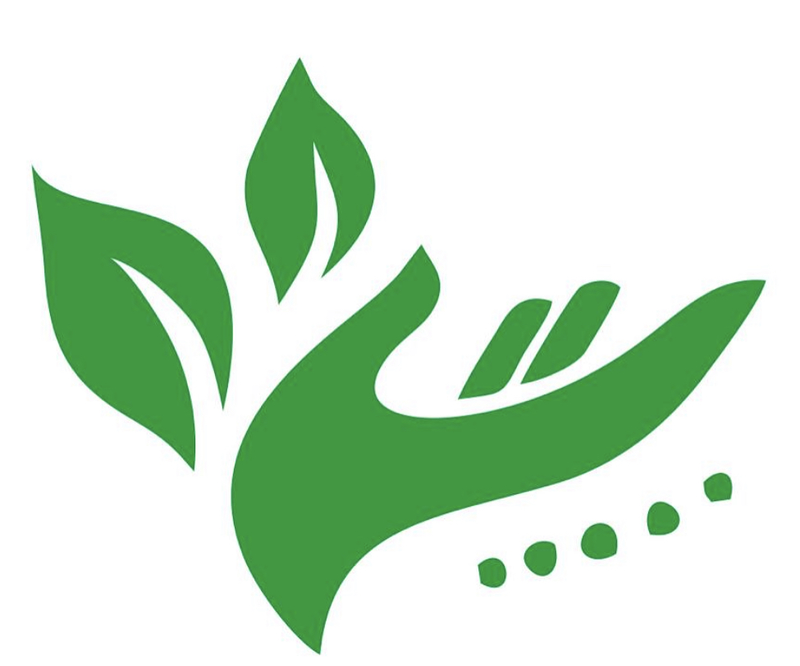 Vida En Equilibrio REIKI: ESCUELAS Y TERAPEUTAS