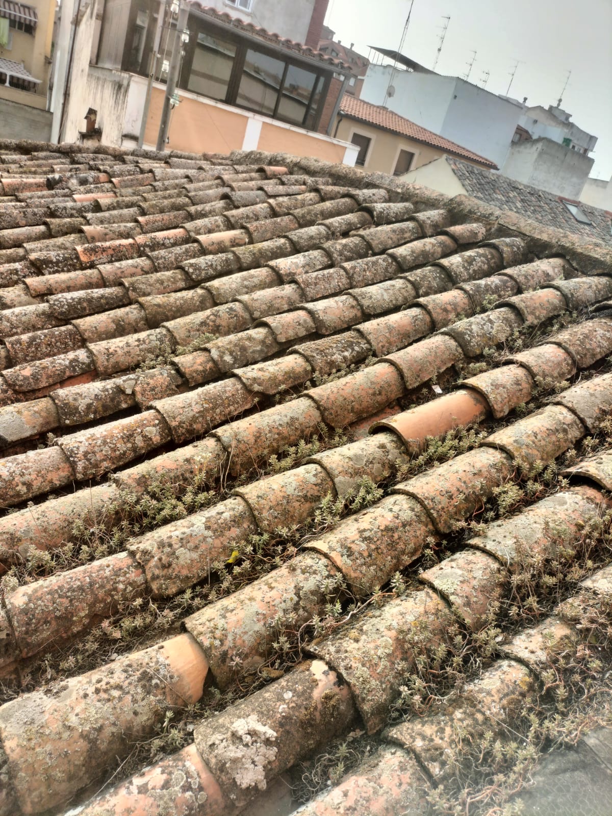 Galería de imágenes