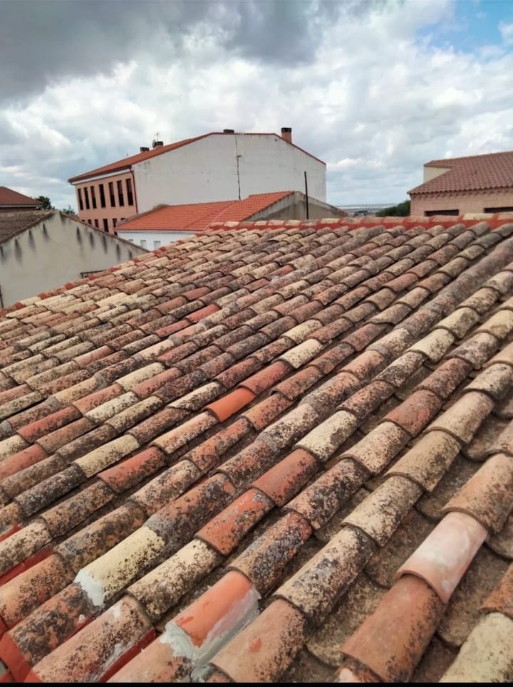 Galería de imágenes