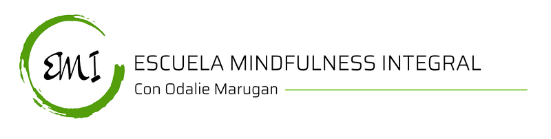 Escuela Mindfulness Integral Palencia