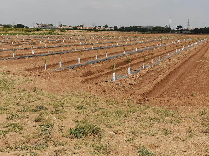 Tot Per A L&acute;agricultura I La Jardineria J. Gallardo 7