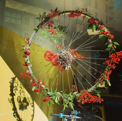 Galería de imágenes