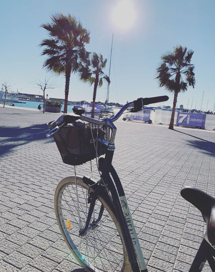 Bikealao Maritim - Bike Rental and Tours 2