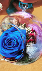 Florister&iacute;a Nico 16