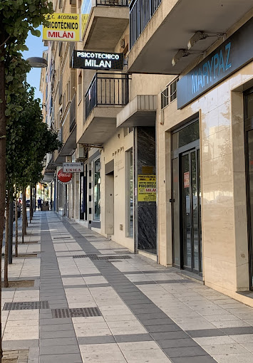 Psicot&eacute;cnico Mil&aacute;n - Guadix 9