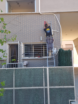 Galería de imágenes