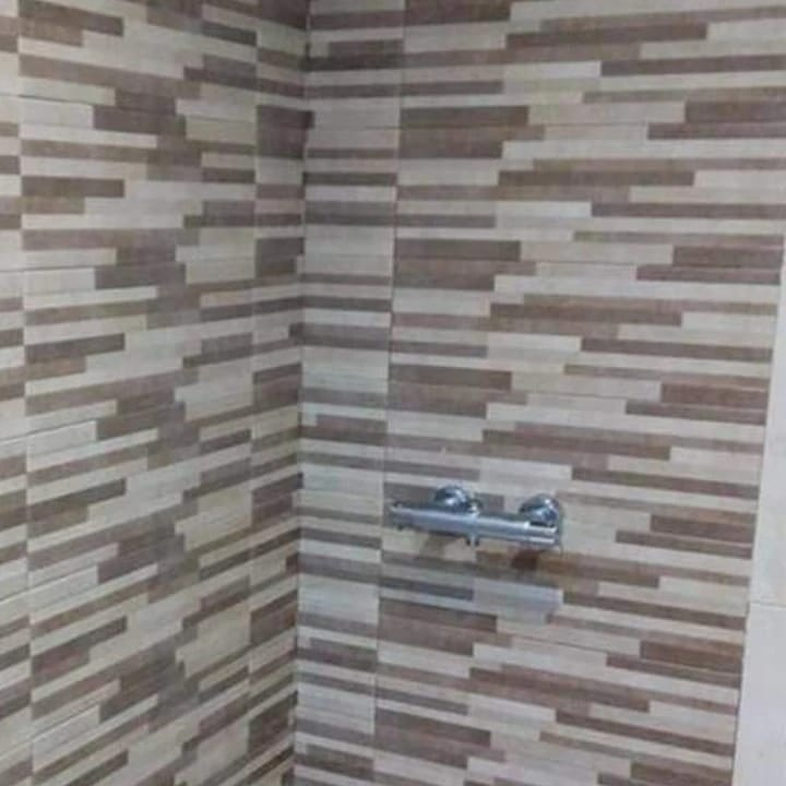 Reformas Jos&eacute; 11