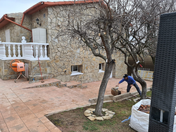 Galería de imágenes