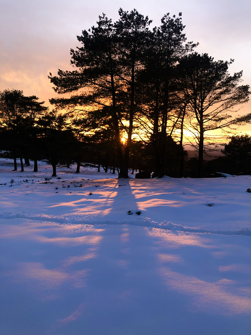 Acougo de Pitasana 32