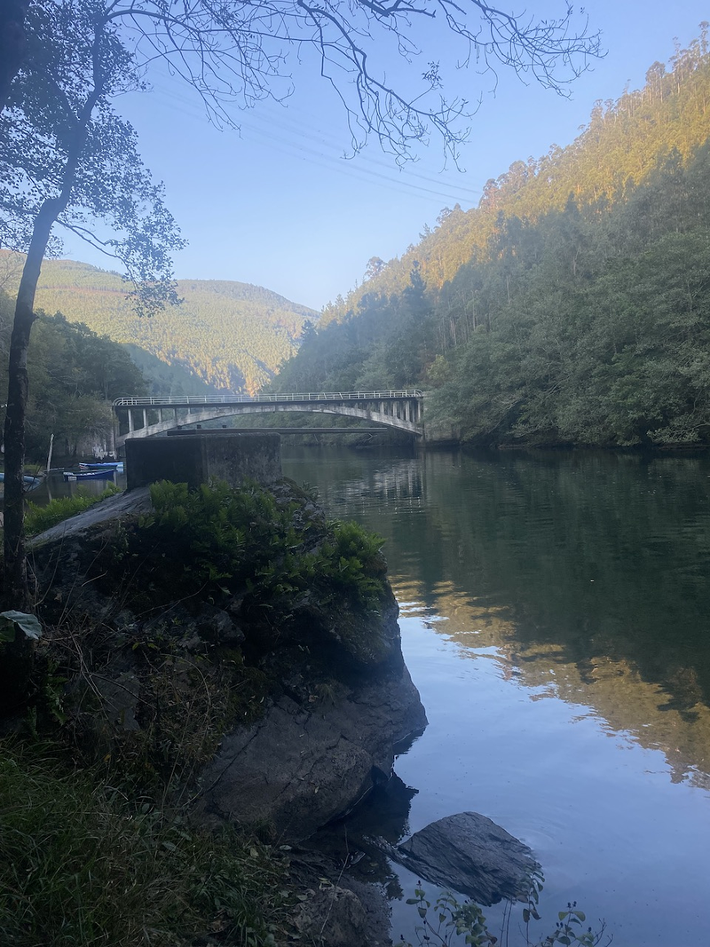 Acougo de Pitasana 34