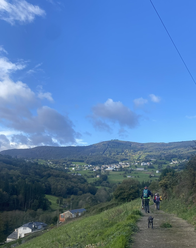 Acougo de Pitasana 28