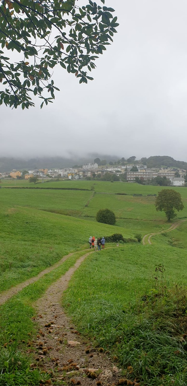 Acougo de Pitasana 38