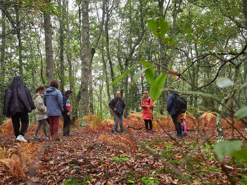 Acougo de Pitasana 10