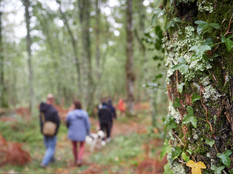 Acougo de Pitasana 6