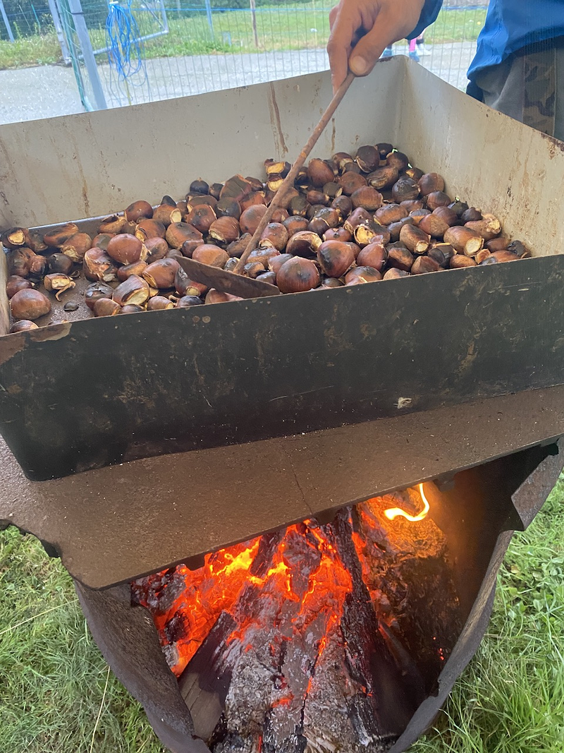 Acougo de Pitasana 17