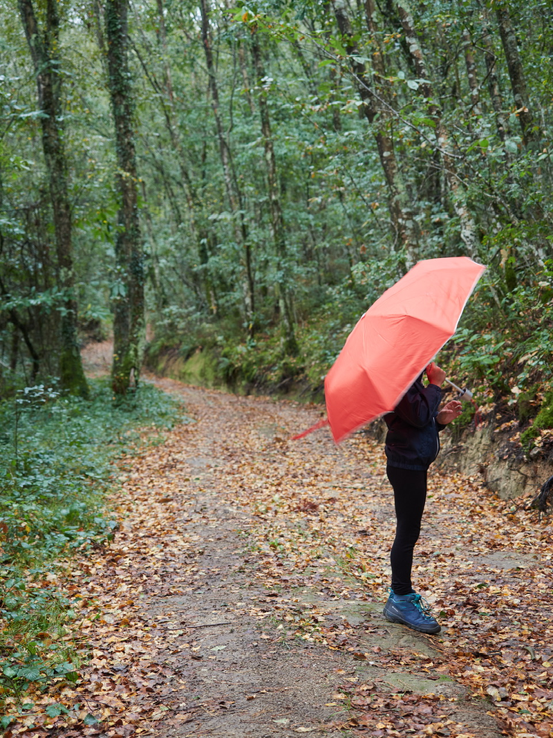Acougo de Pitasana 11