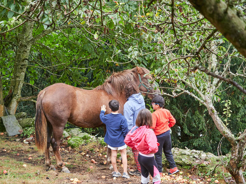Acougo de Pitasana 9
