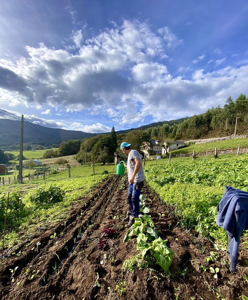Acougo de Pitasana 7