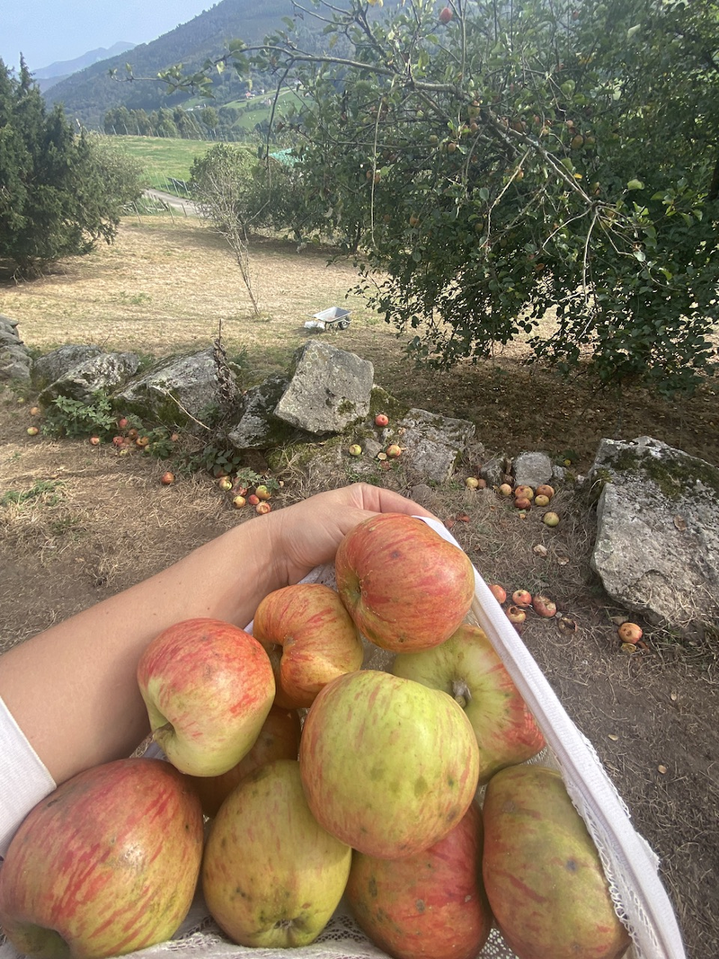 Acougo de Pitasana 33