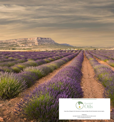 Essential Oils Moratalla