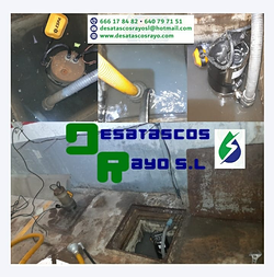 Galería de imágenes