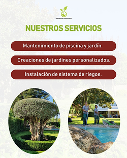 Galería de imágenes