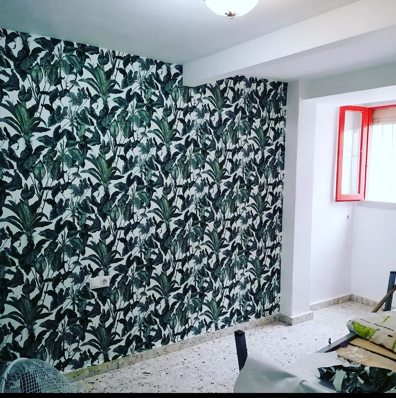 Pintura y Decoración Daniel de la Ossa 11