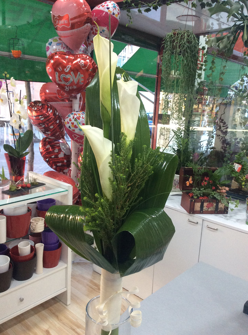 Floristeria 21 De Marzo 5