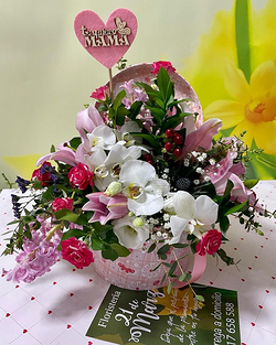 Galería de imágenes