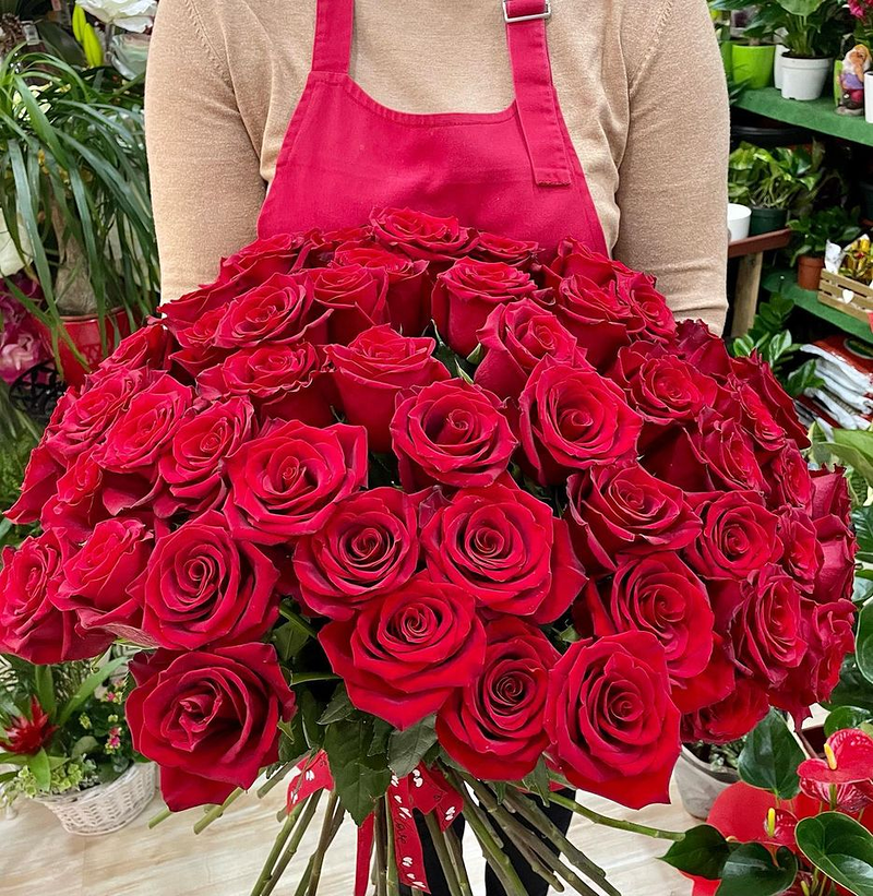 Floristeria 21 De Marzo 4