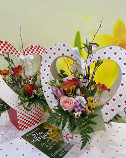 Galería de imágenes