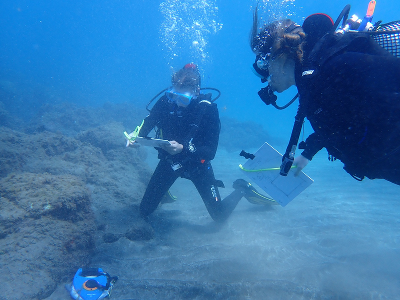 Internship Seeyoudiving 5