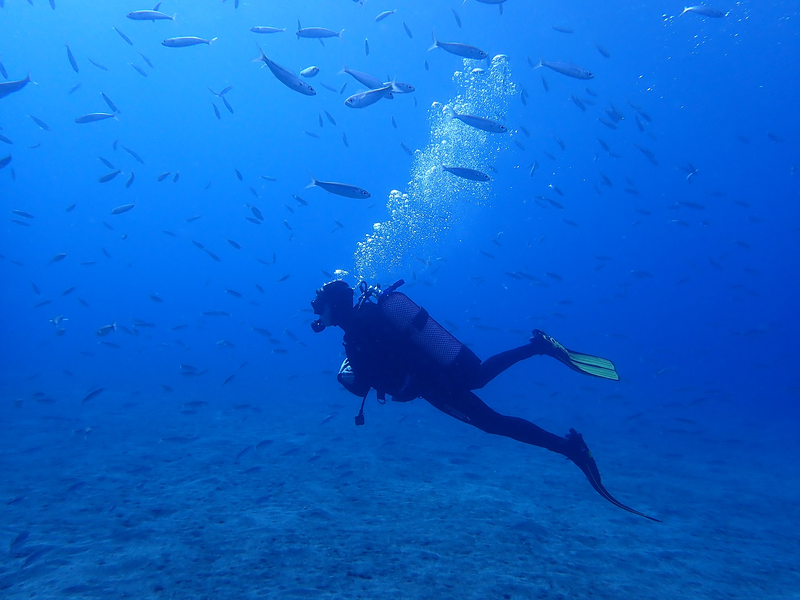 Internship Seeyoudiving 13