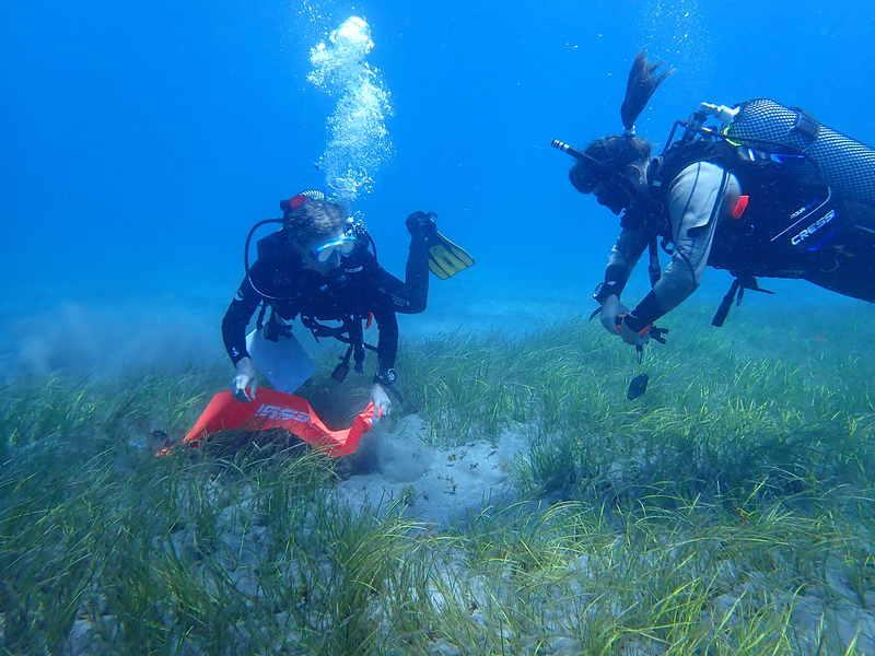 Internship Seeyoudiving 7