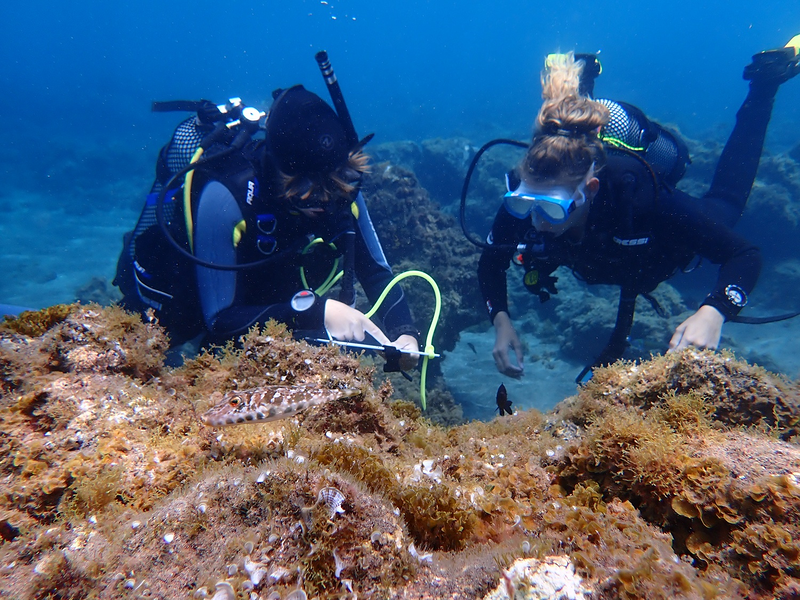 Internship Seeyoudiving 8