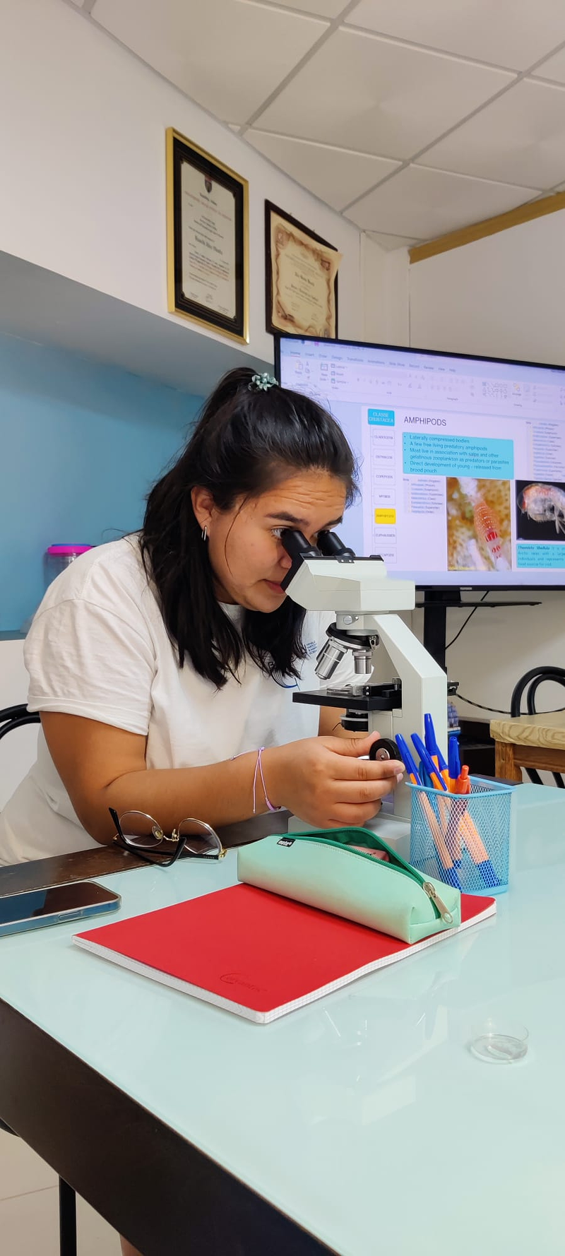 Internship Seeyoudiving 9