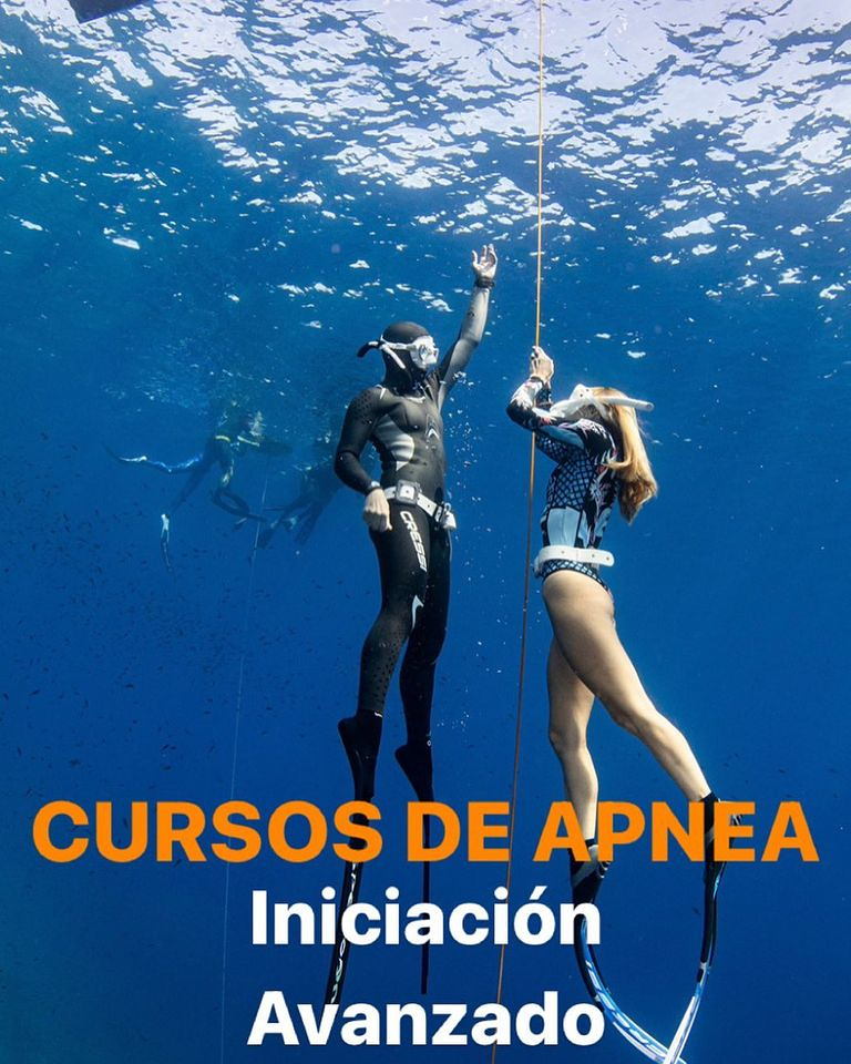 Starfish Diving Mallorca Son Servera