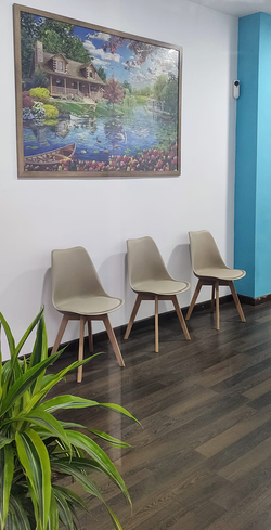 Galería de imágenes