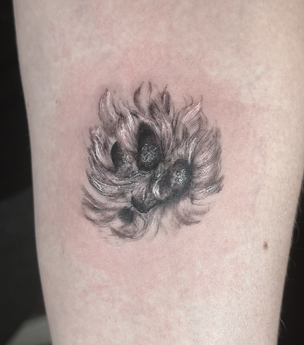 Casu Tattoo Studio 2